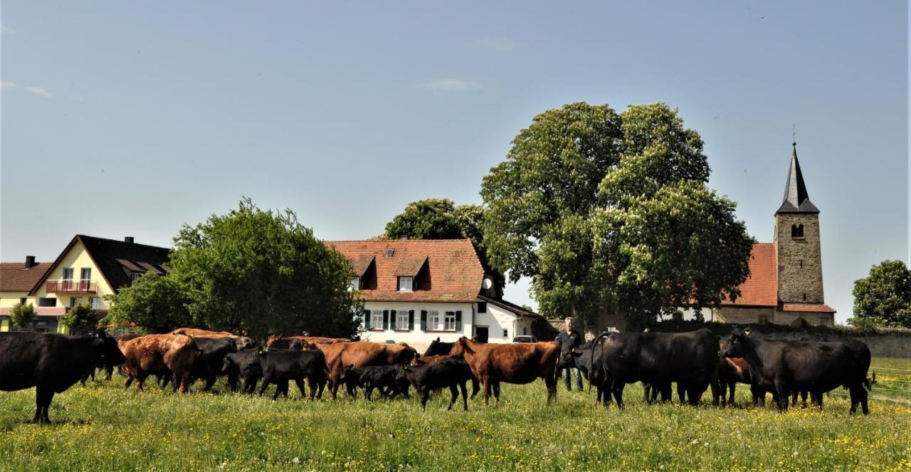 Schaefer'S Ferienhof Michaelsberg Daire Gundelsheim  Dış mekan fotoğraf