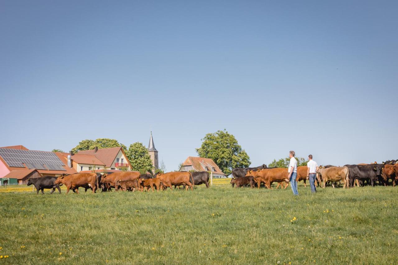 Schaefer'S Ferienhof Michaelsberg Daire Gundelsheim  Dış mekan fotoğraf